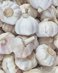 Aglio