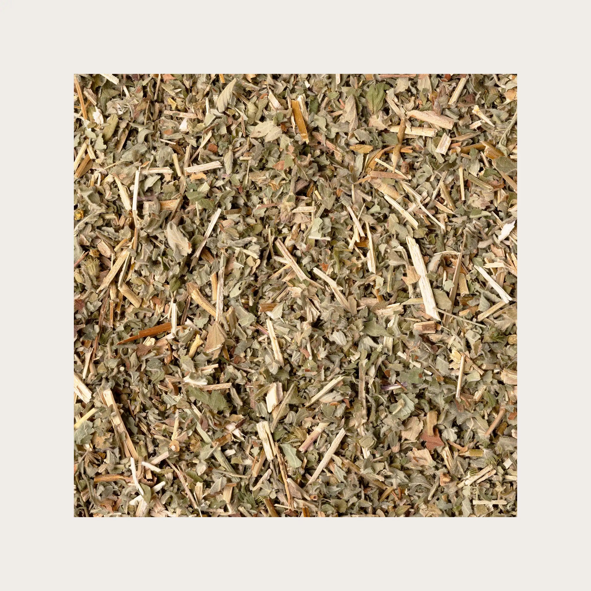 Agrimonia sfusa per tisana