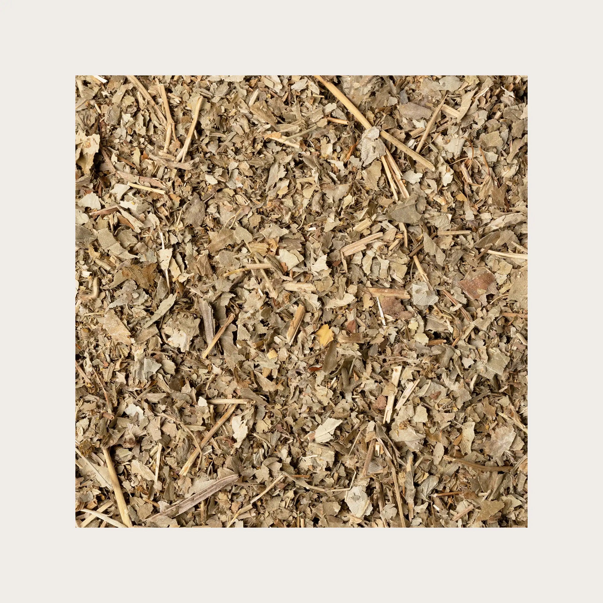 Alchemilla volgare sfusa per tisana