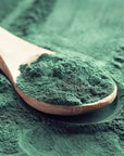 Alga spirulina in polvere