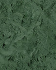 Alga spirulina in polvere