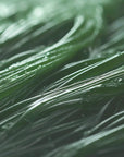 Alga Spirulina - Integratore a base naturale