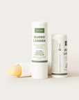Burro labbra botanico con vitamina E