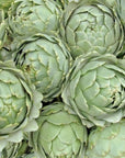 Carciofo