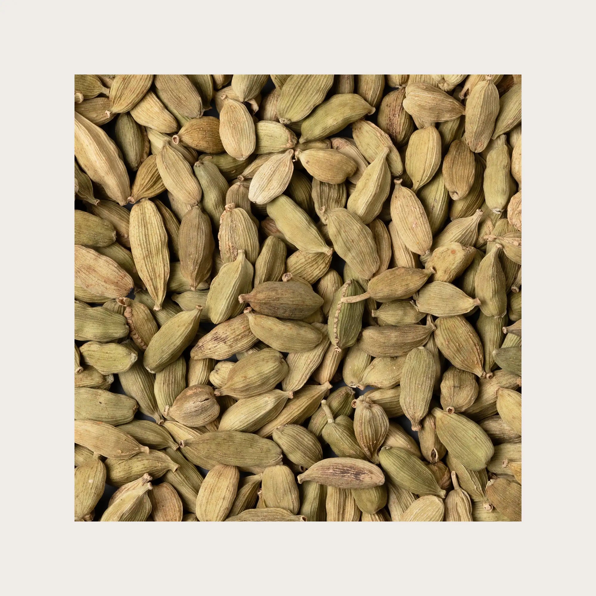 Cardamomo Malabar frutti sfusi per tisana