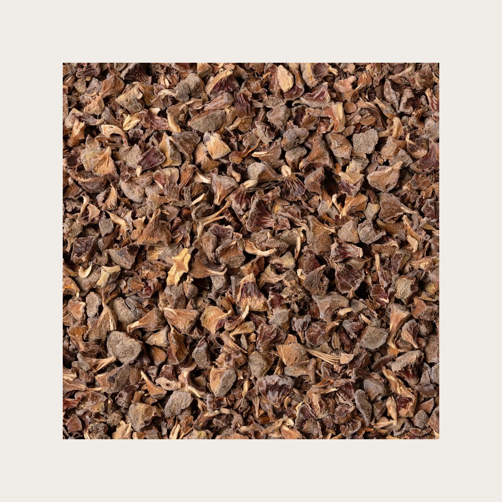 Coni (bacche) di Cipresso per tisana