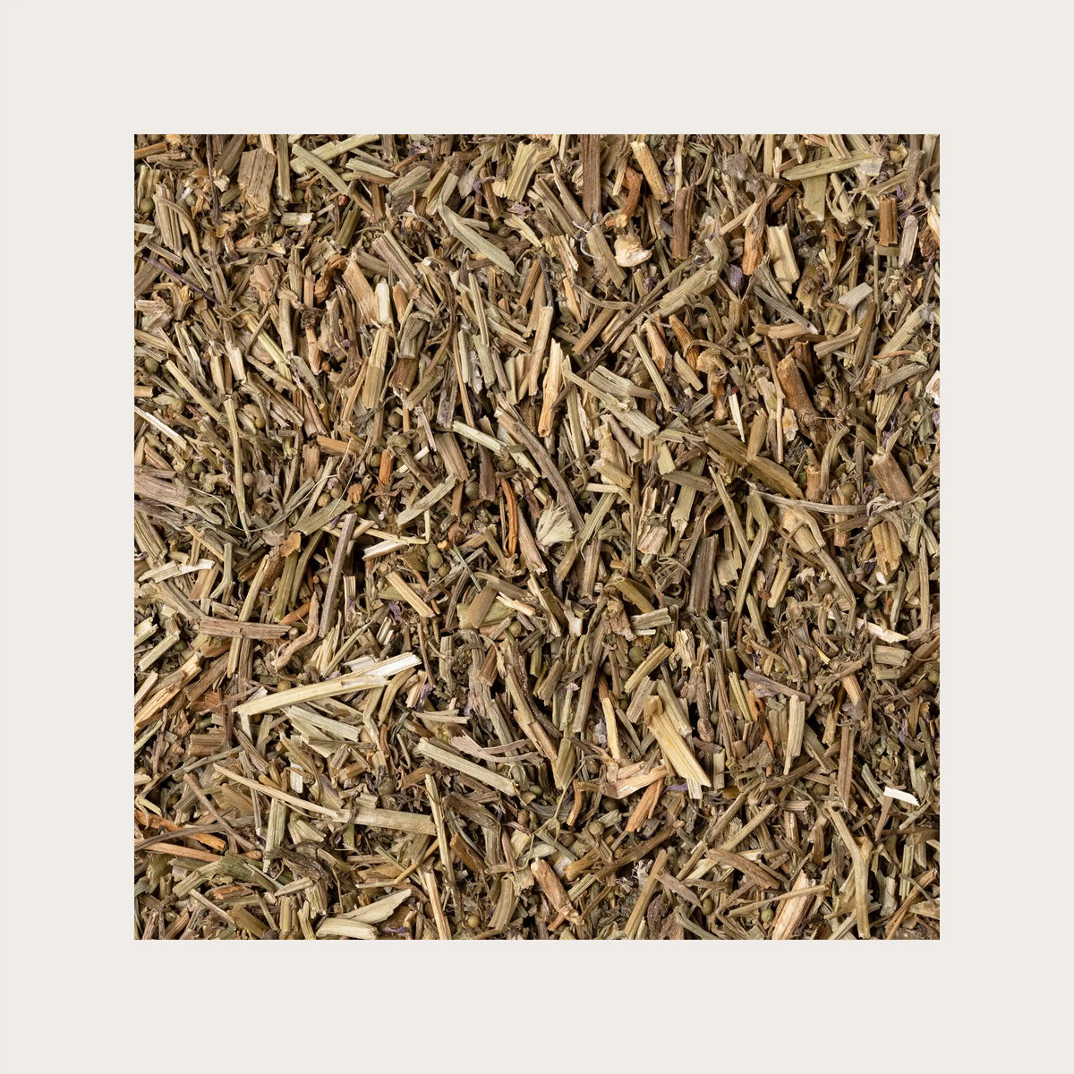 Semi Di Fumaria Officinale (Fumaria Officinalis) Circa 100 Semi, Pianta Medicinale Per Fegato E Cistifellea - 2