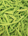 Guar pianta