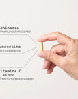 Echinacea Immuno Integratore alimentare naturale - infografica