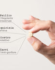 Gastro Compresse Integratore alimentare naturale - infografica