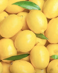 Limone frutto