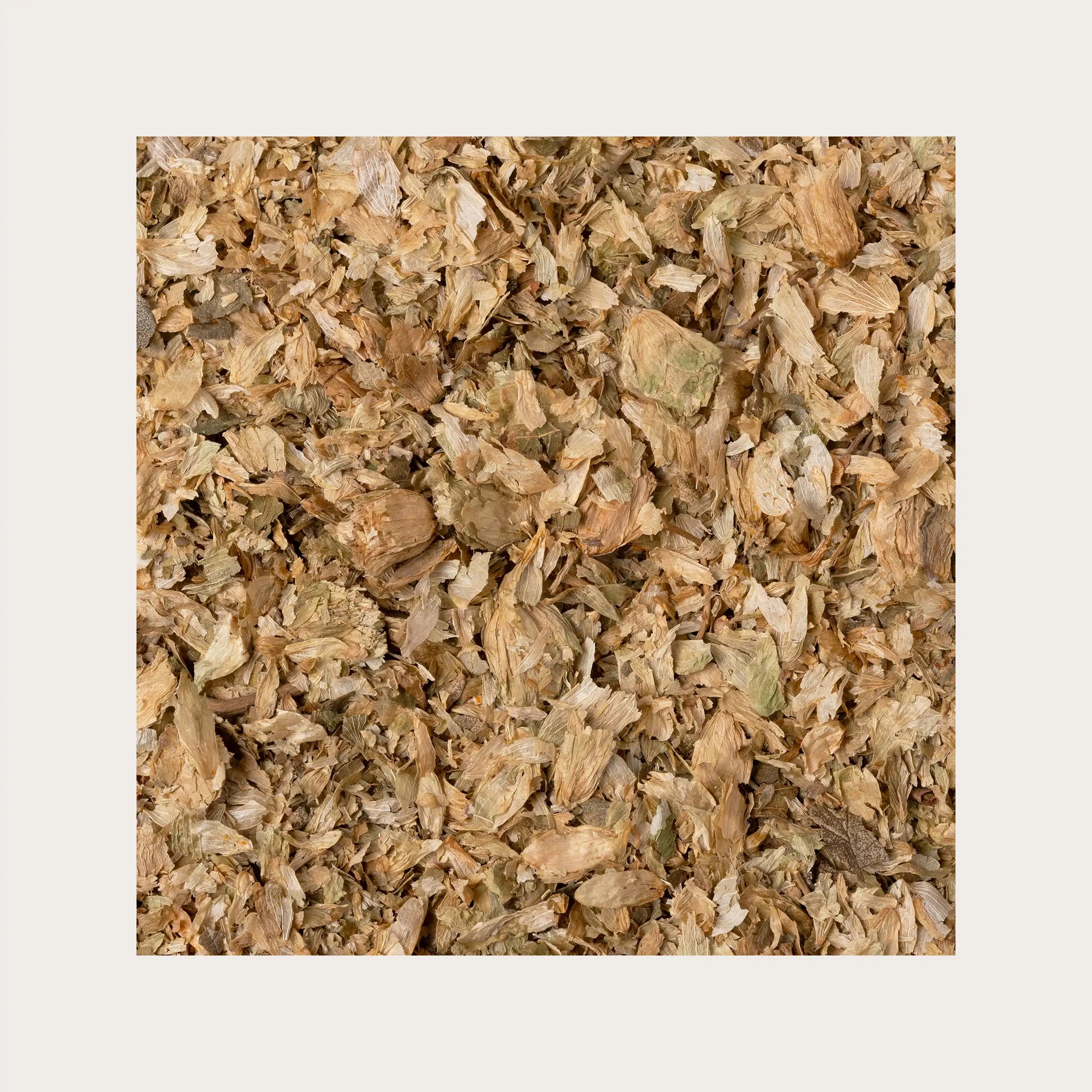 Fiori di Luppolo per tisana