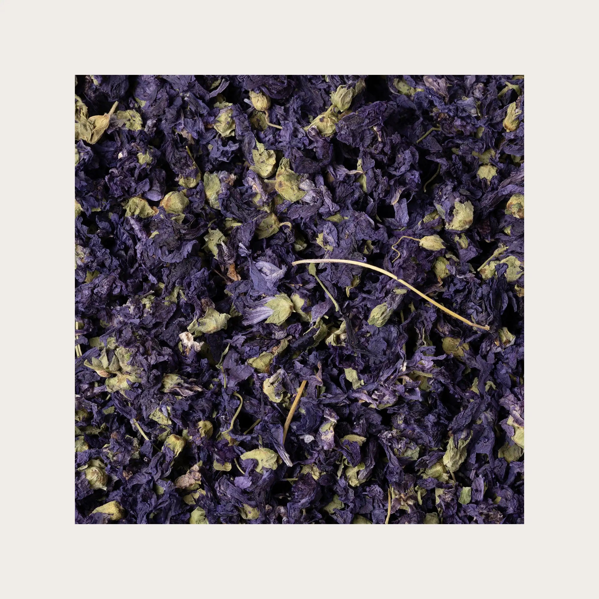 Malva fiori sfusi per tisana