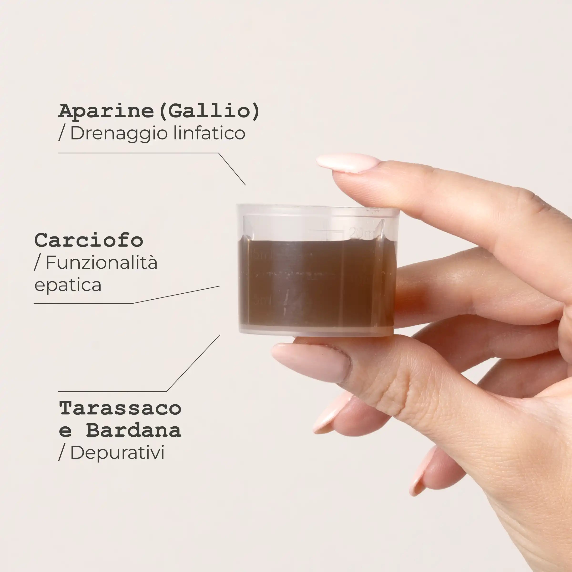 Concentrato liquido Fegato Solim Concentrato liquido Fegato Solim