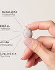 PlantaTuss caramelle balsamiche gola con Eucalipto, Mentolo e Propoli - infografica