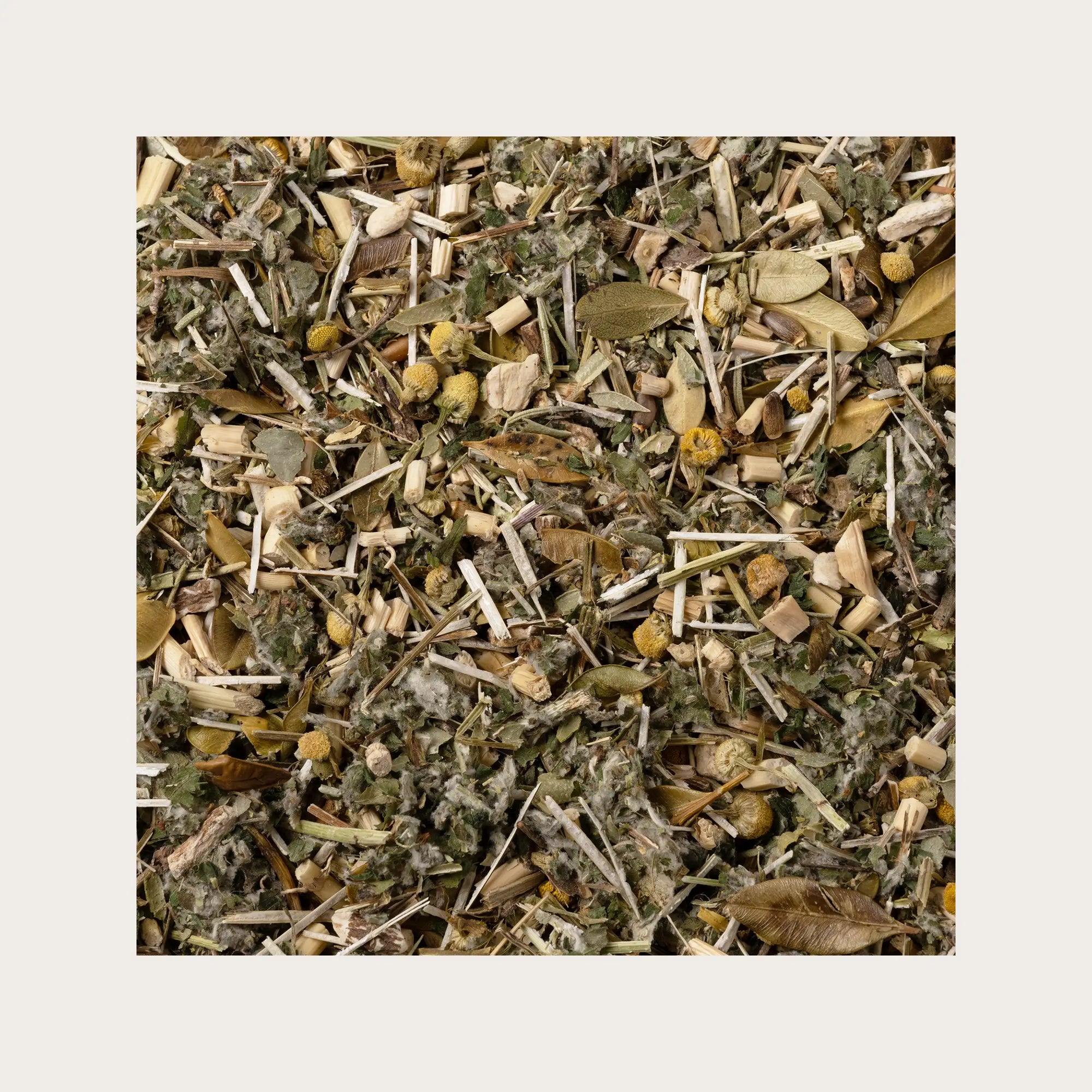 Tisana Fegato con Carciofo
