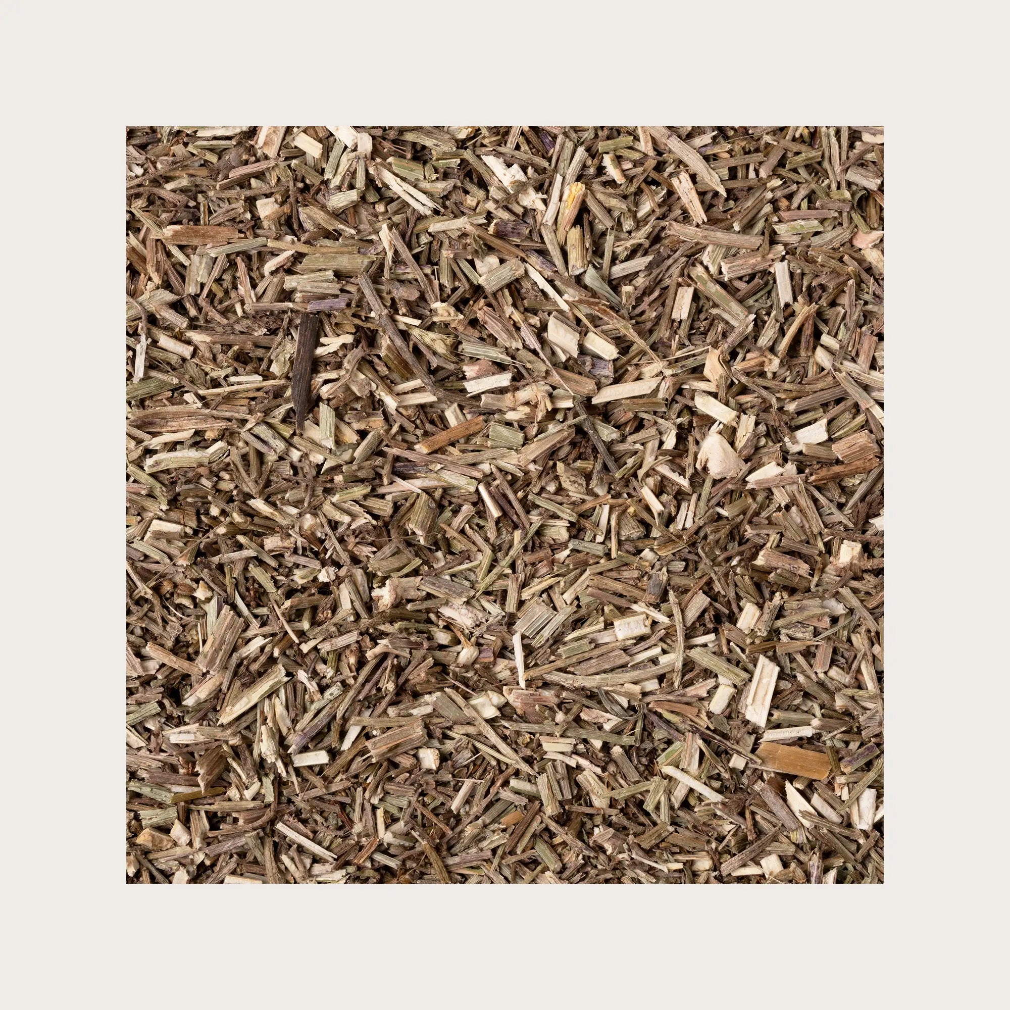 Verbena sfusa per tisana