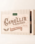 Camellia Sinensis Box