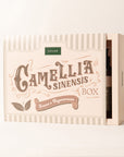 Camellia Sinensis Box - fresco e rigenerante