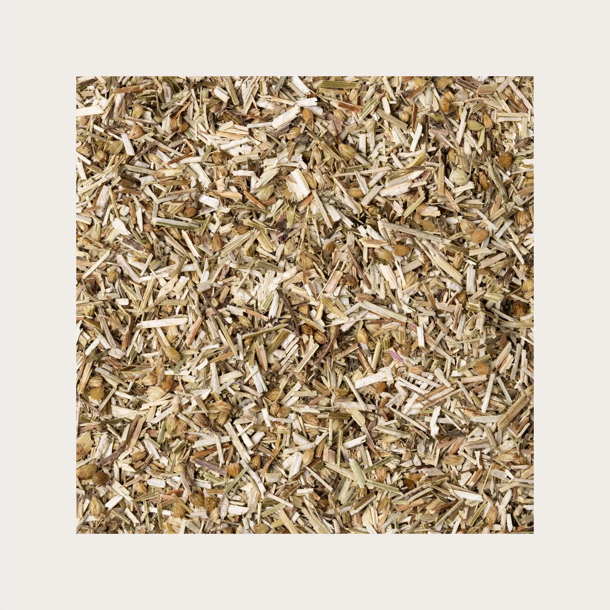 Achillea millefoglie sfusa per tisana 