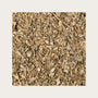 Alchemilla volgare sfusa per tisana