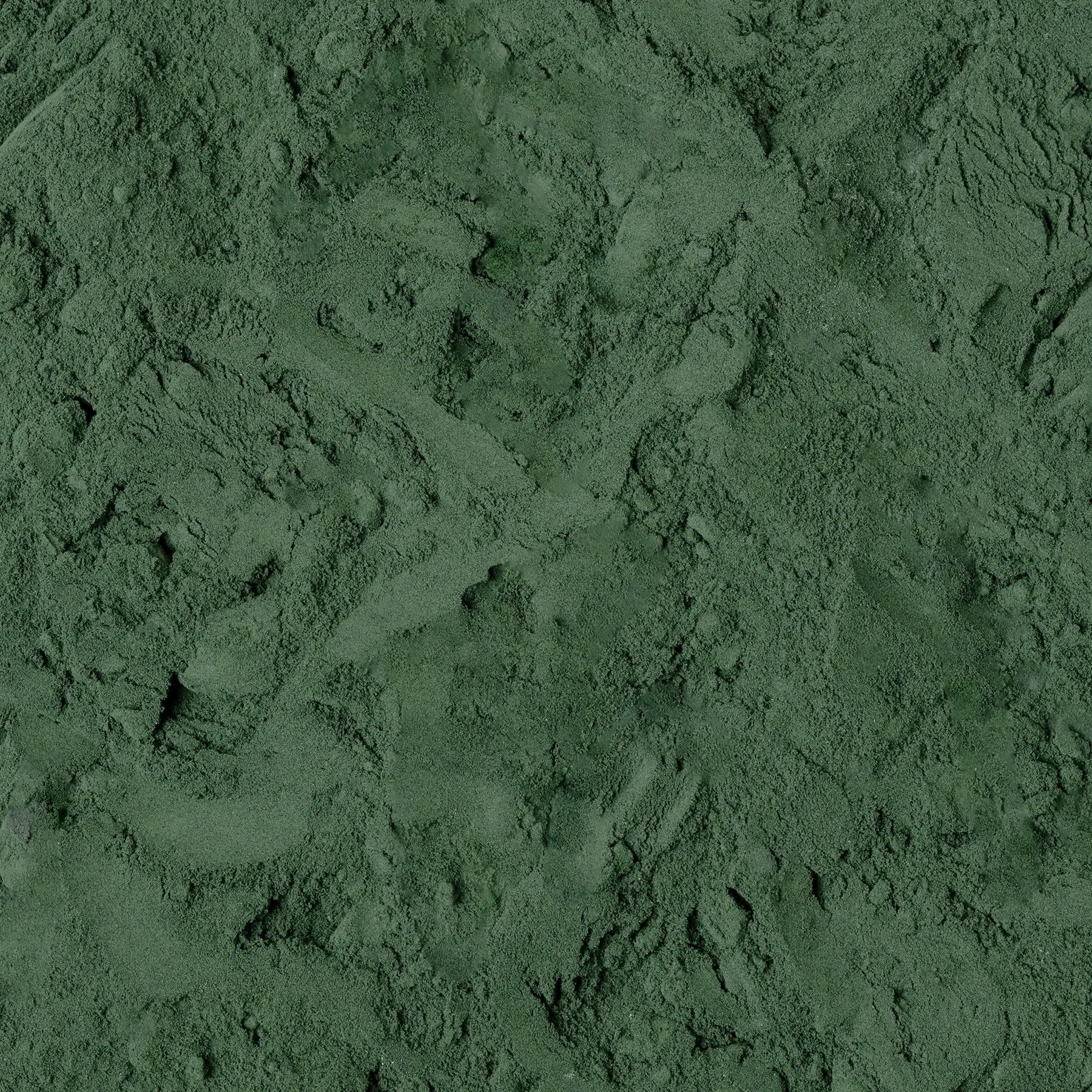 Alga spirulina in polvere
