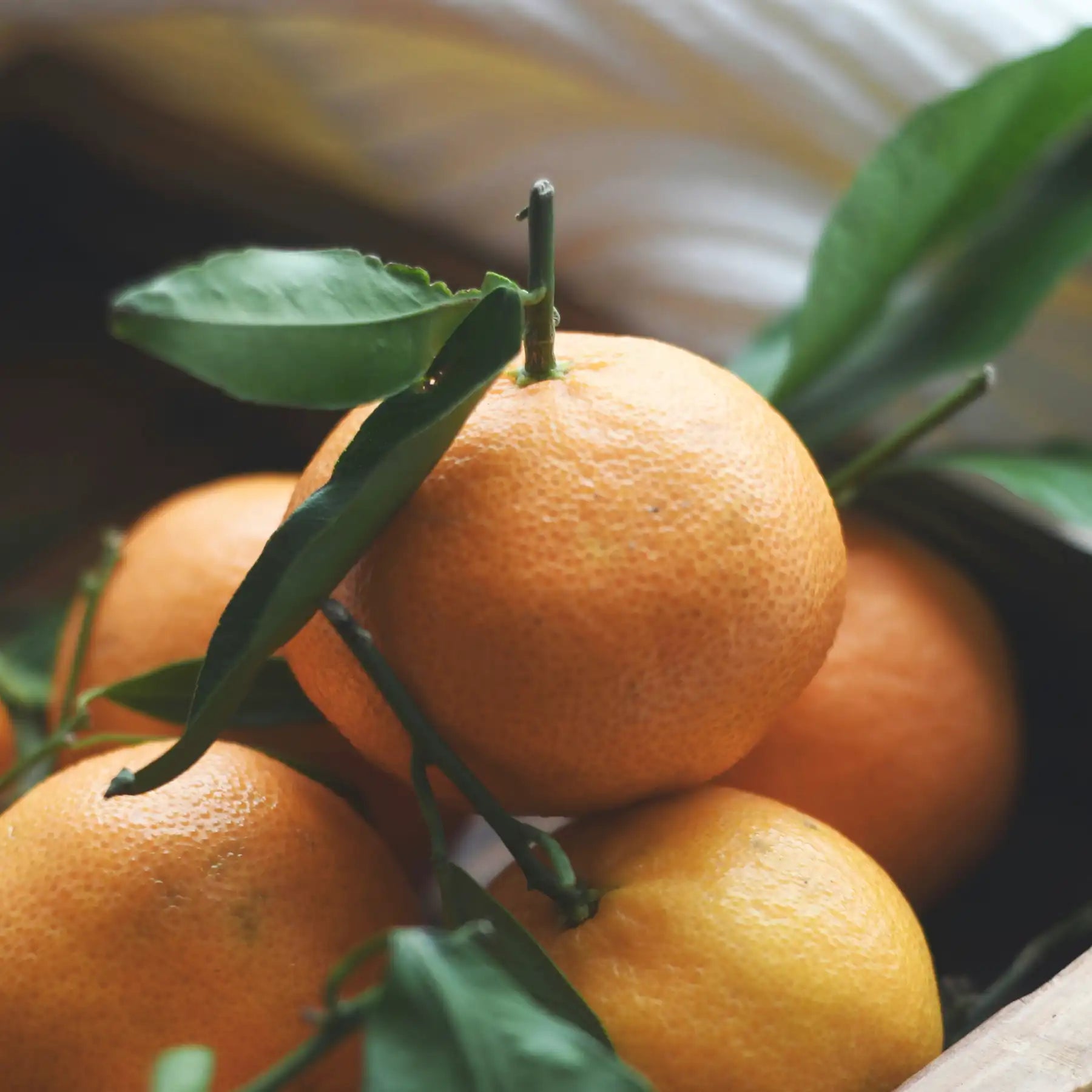 Arancio