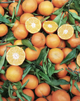 Olio essenziale puro di Arancio Amaro