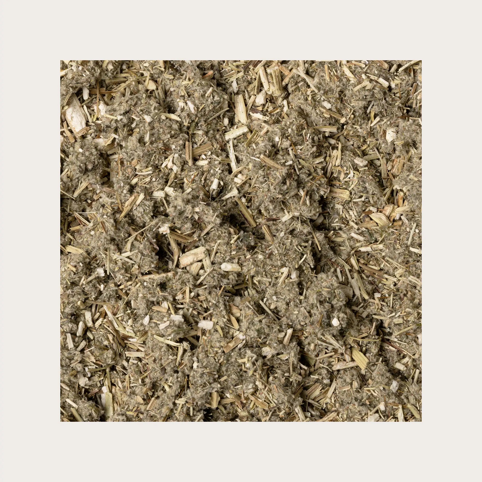 Artemisia volgare sfusa per tisana