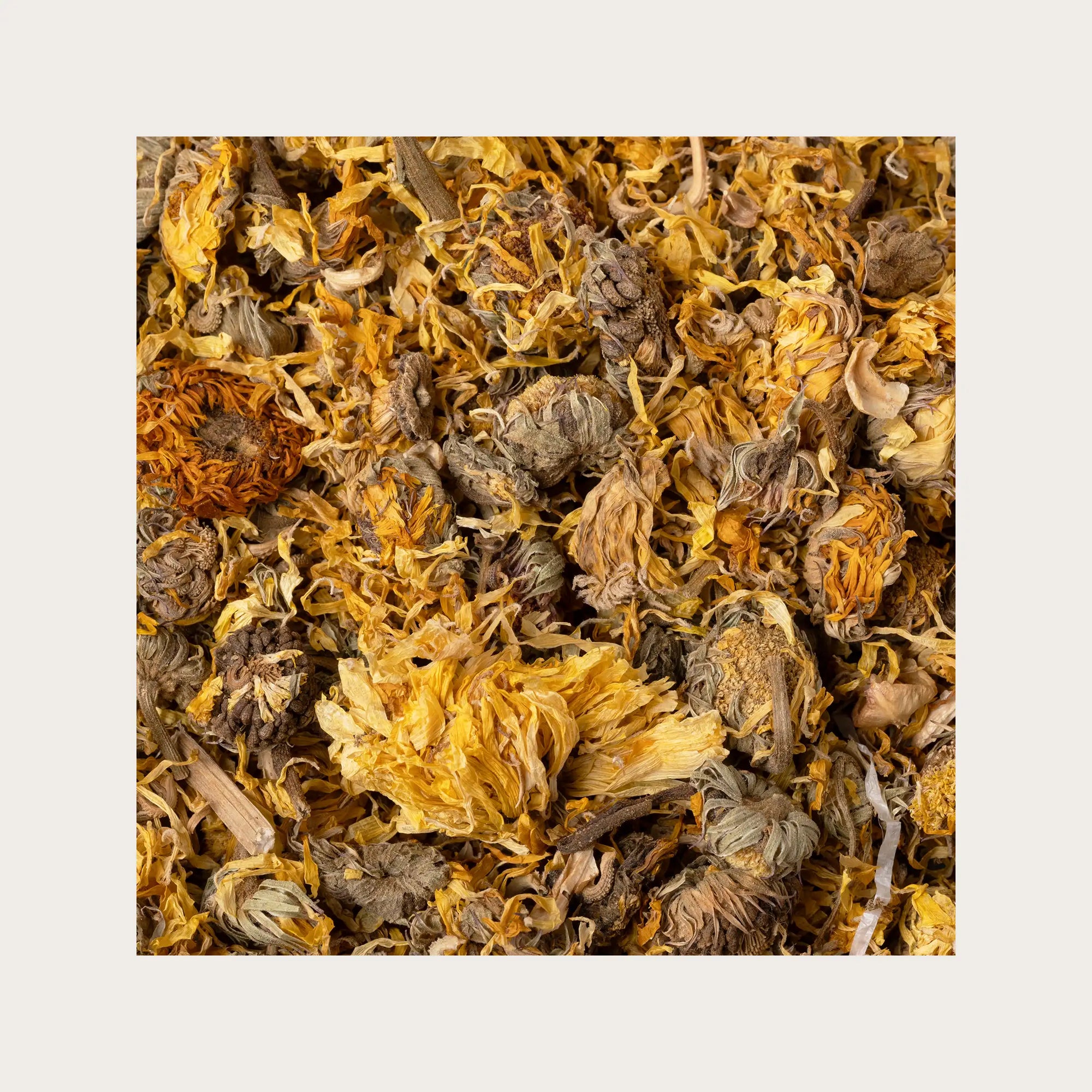 Calendula fiori sfusi per tisana
