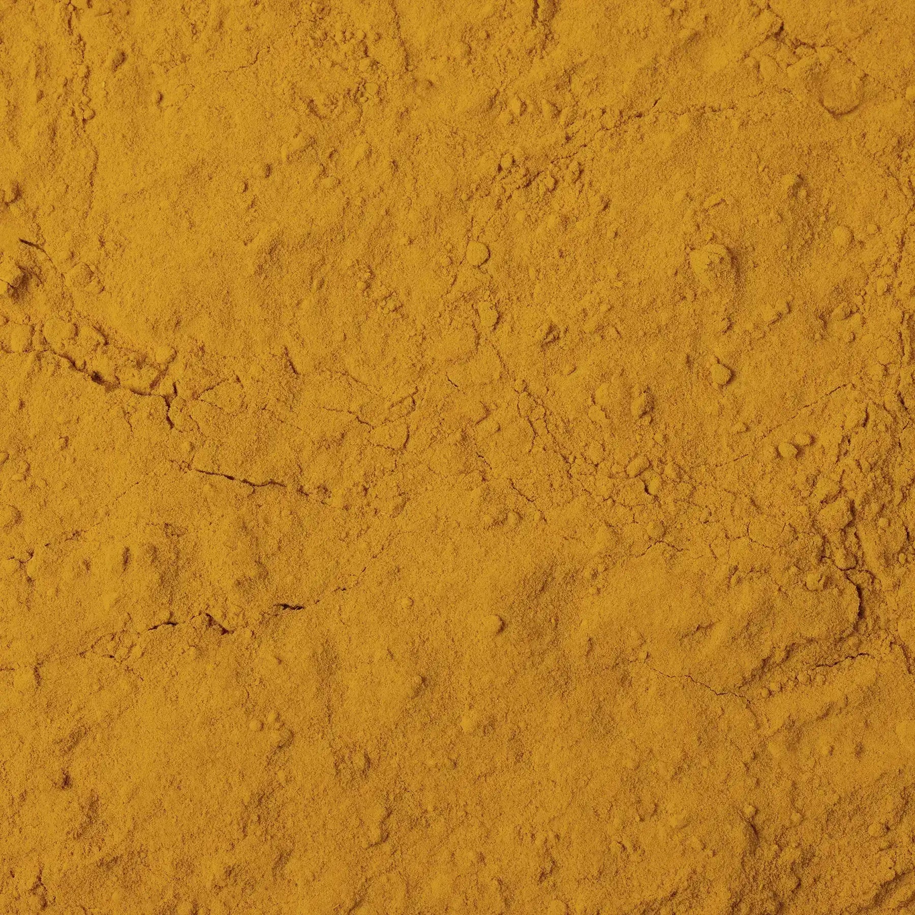 Curcuma in polvere