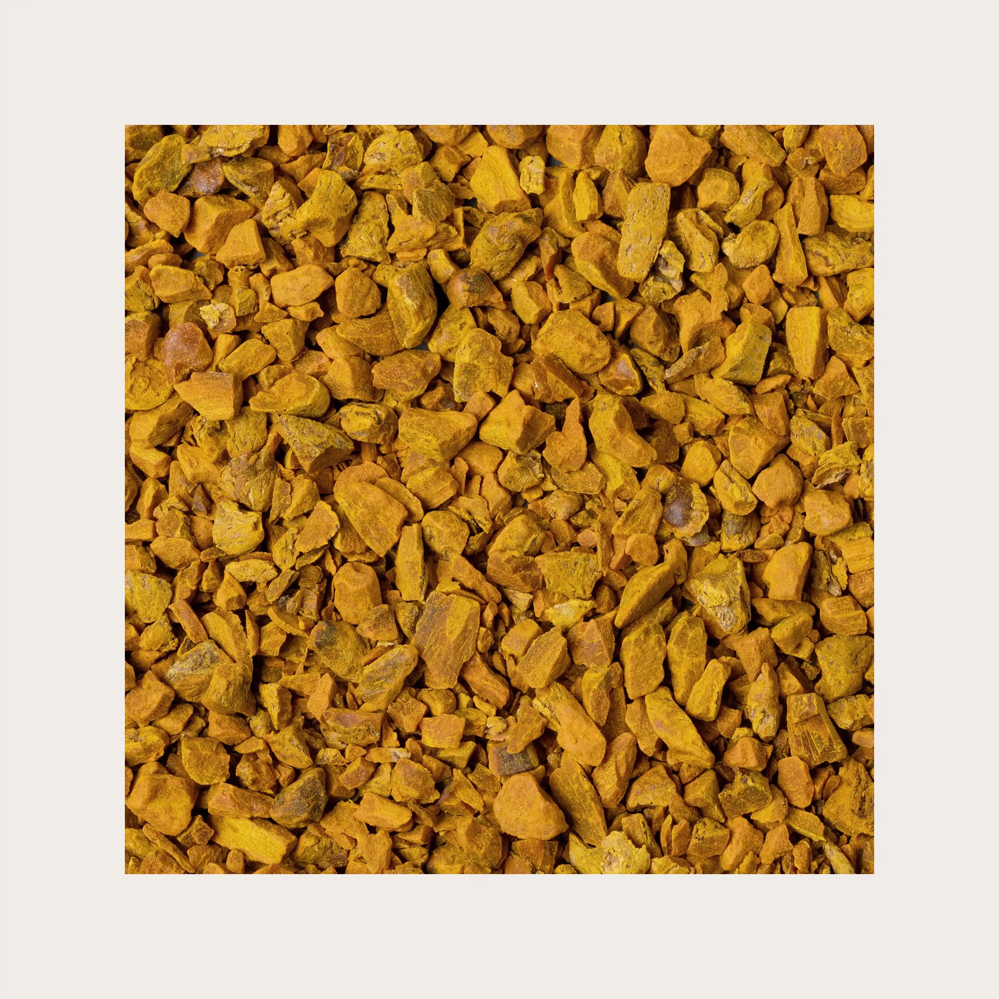 Curcuma radice sfusa per tisana