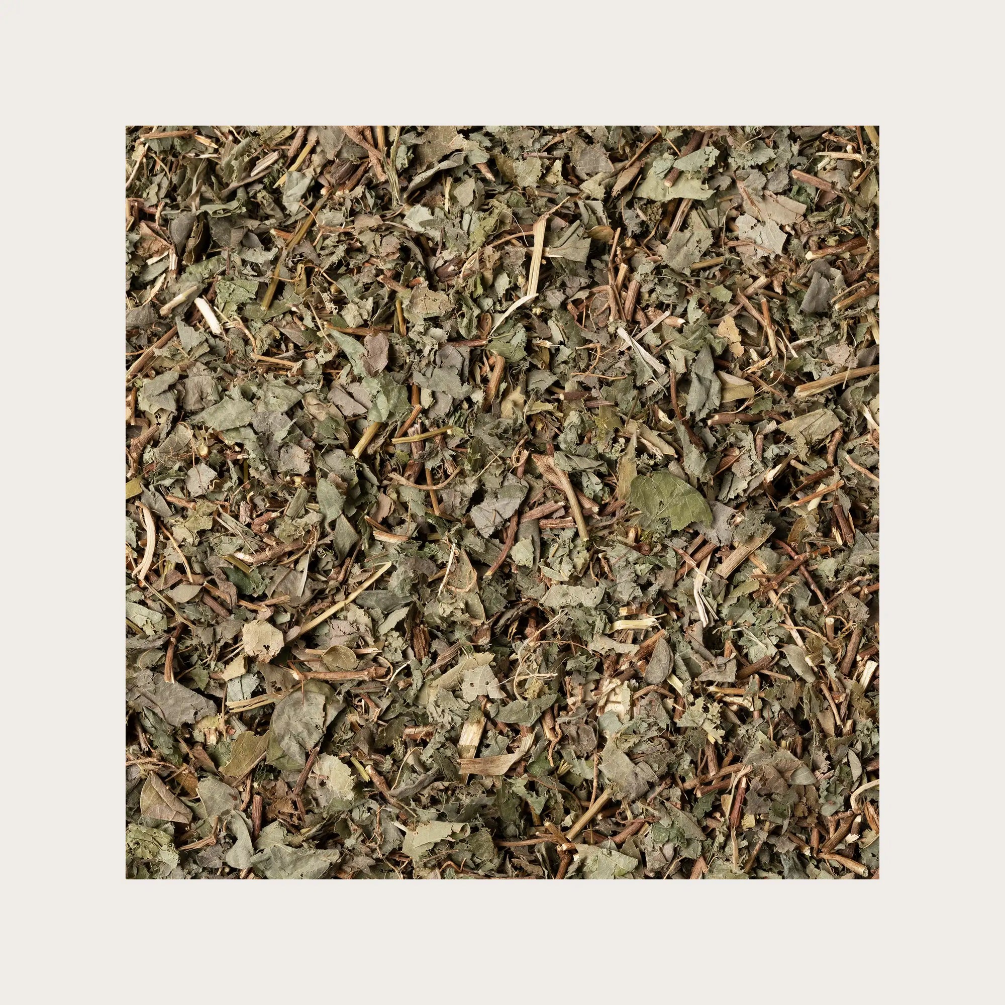 Desmodium foglie sfuse per tisana