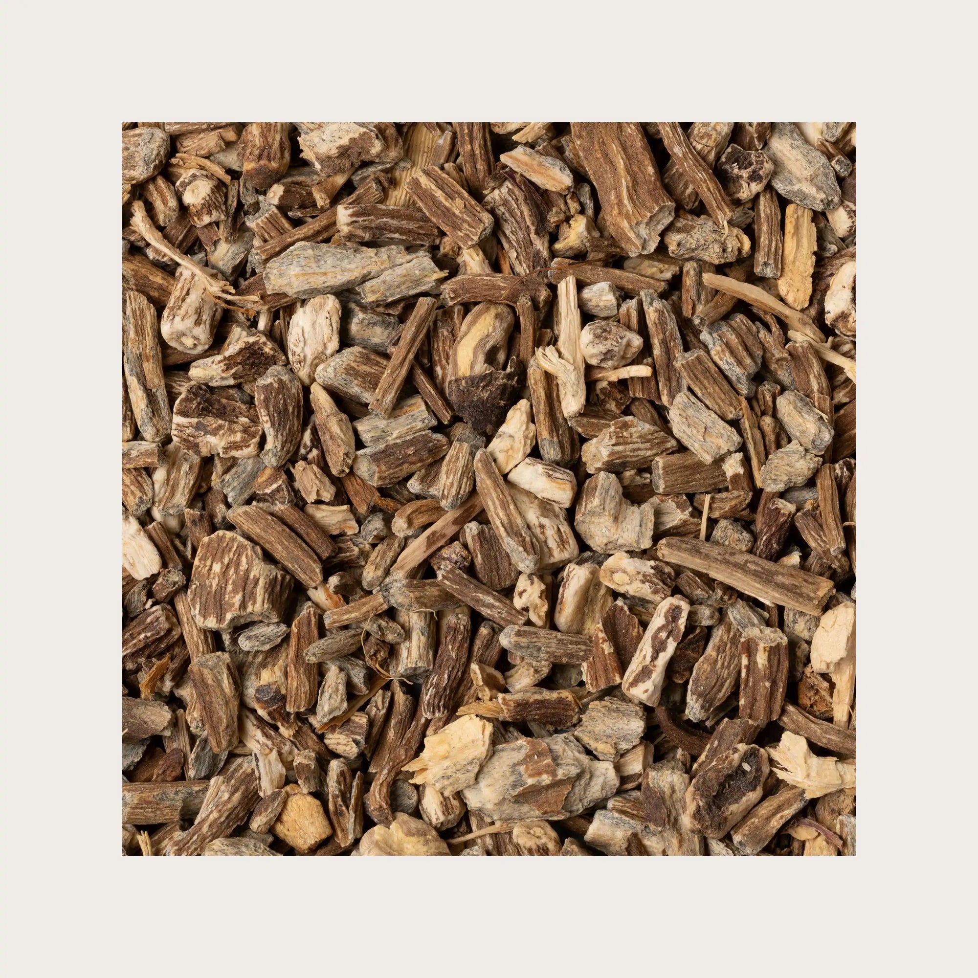 Echinacea radice sfusa per tisana