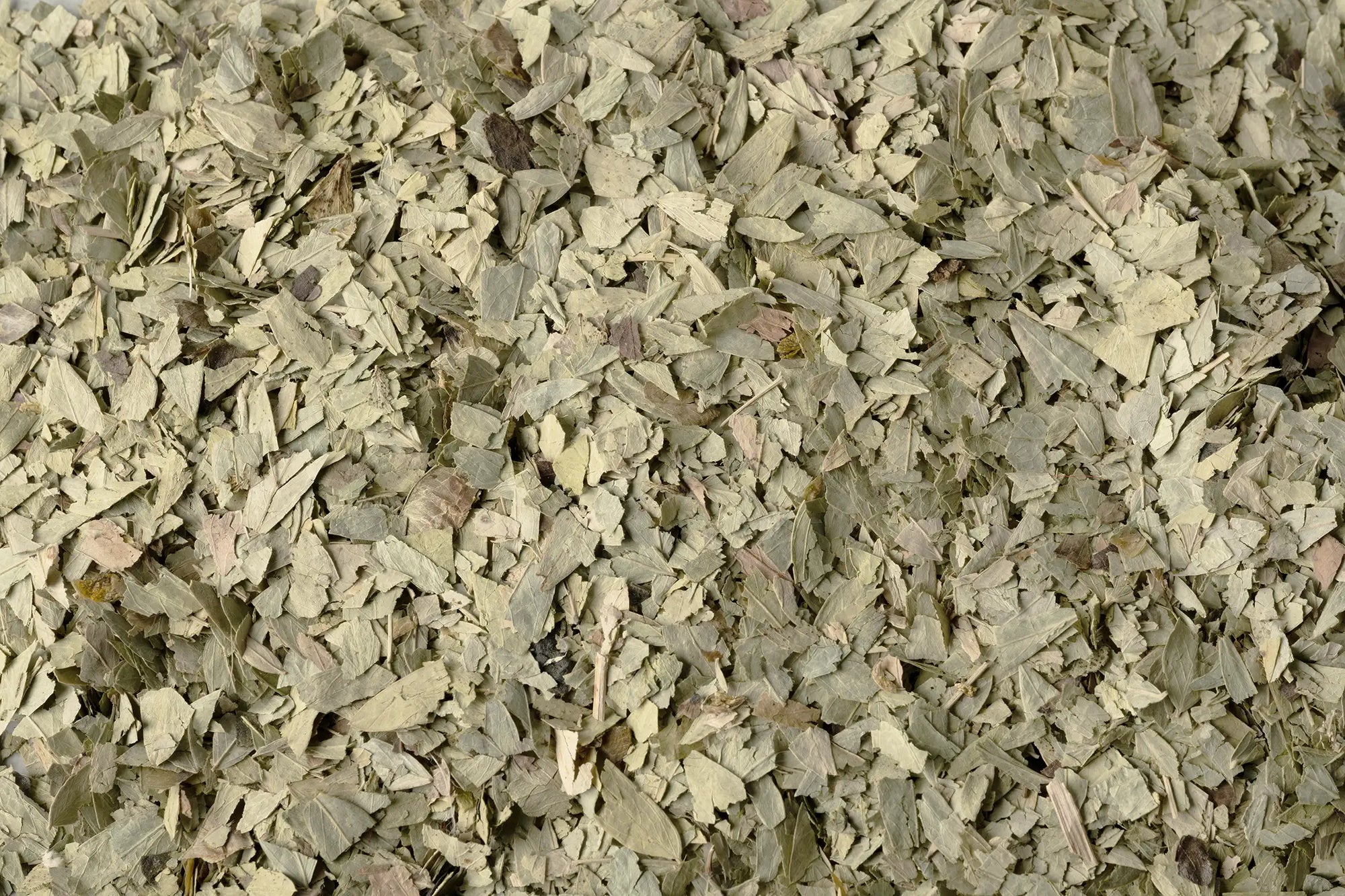 Erbe e piante officinali sfuse