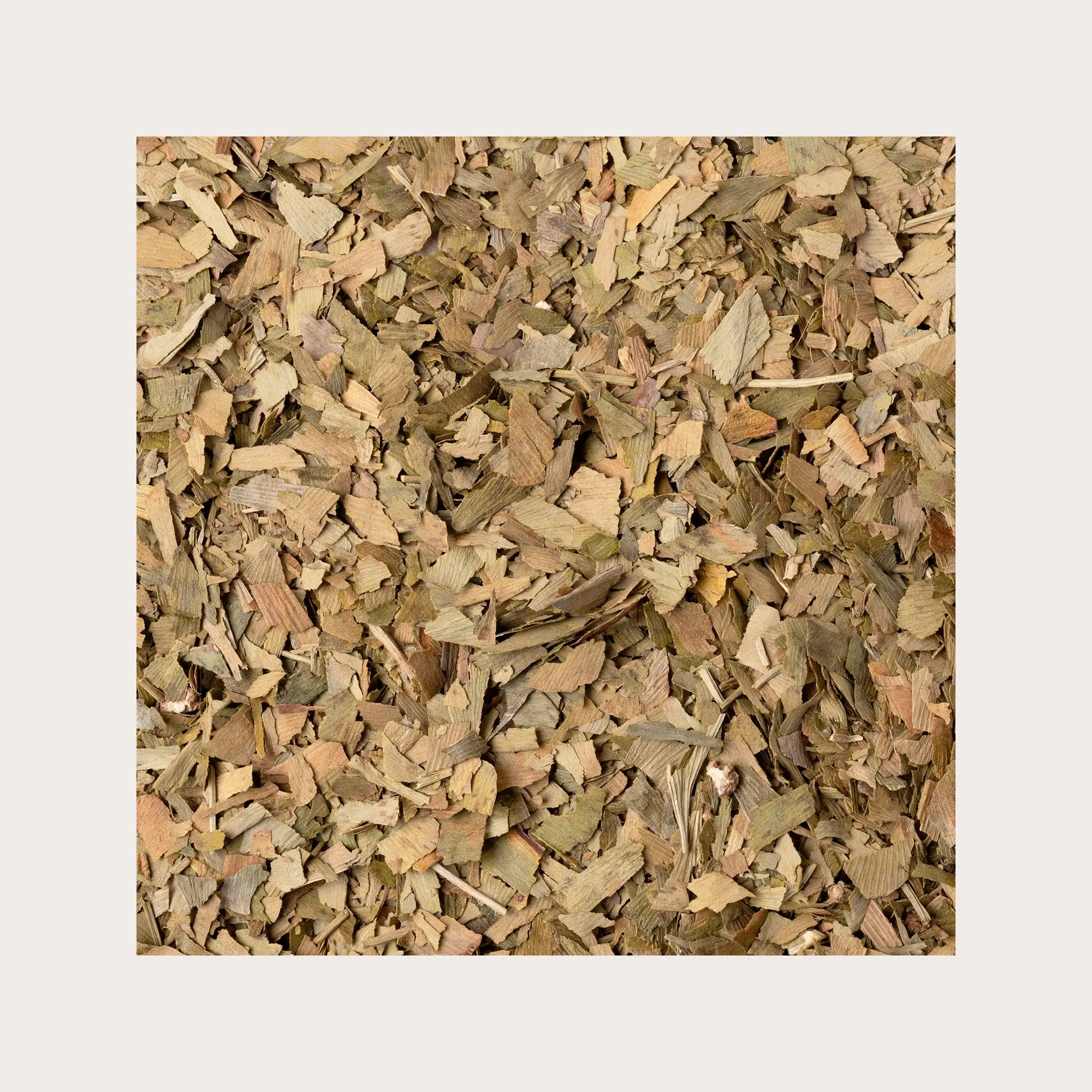 Ginkgo biloba foglie sfuse