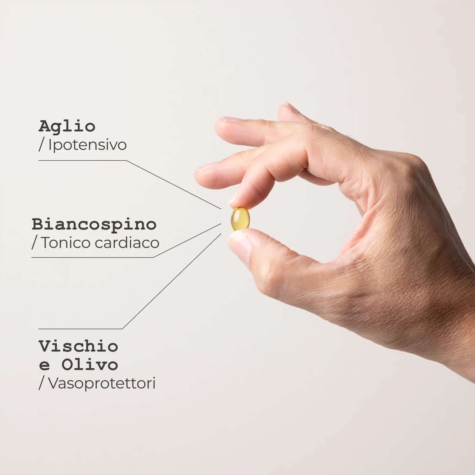 Aglio Complex Integratore alimentare naturale - infografica