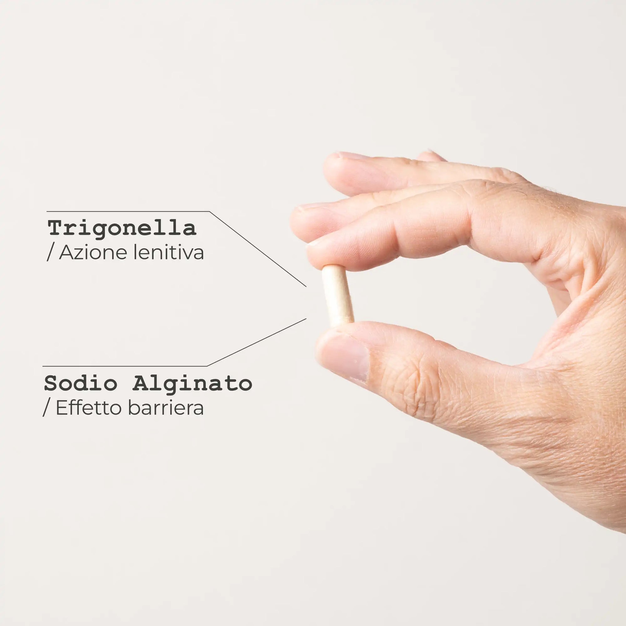 Gastro Capsule Integratore alimentare naturale - infografica