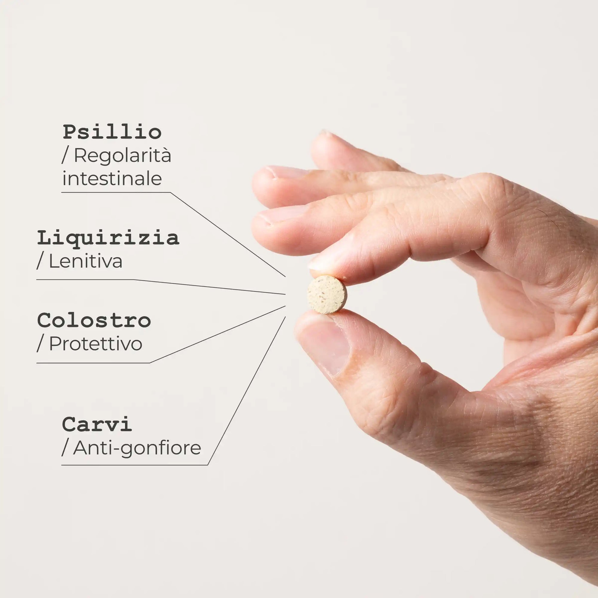 Gastro Compresse Integratore alimentare naturale - infografica
