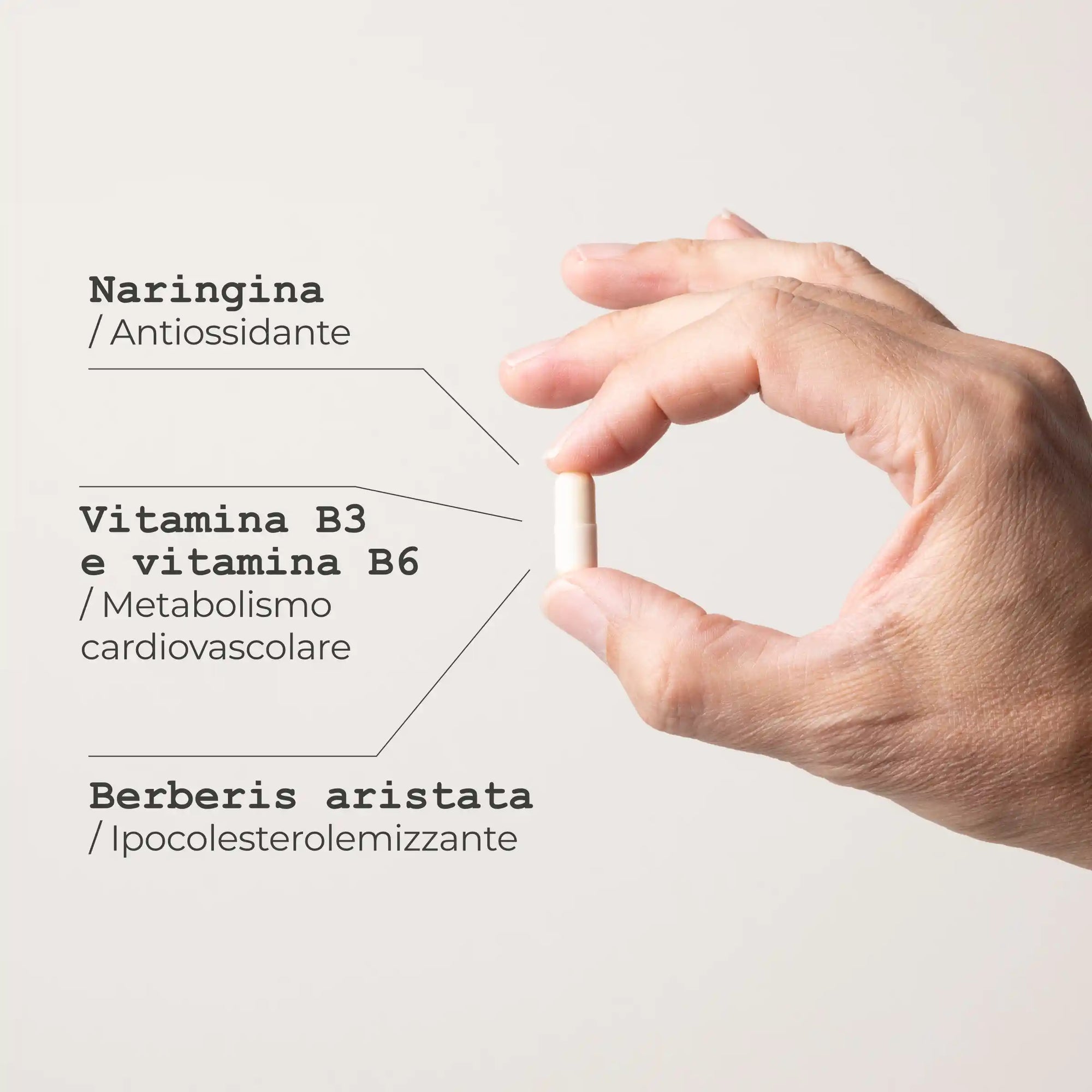 HDL Plus Integratore alimentare naturale - infografica