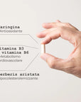 HDL Plus Integratore alimentare naturale - infografica