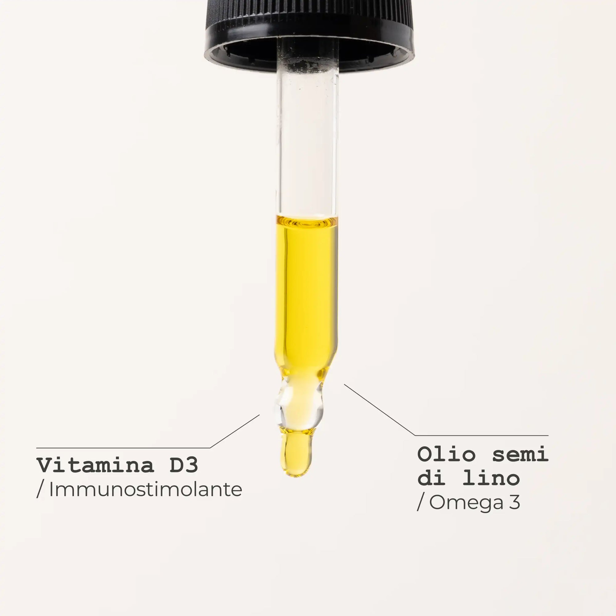 Vitamina D3, integratore naturale per rinforzare le difese e il sistema immunitario - infografica