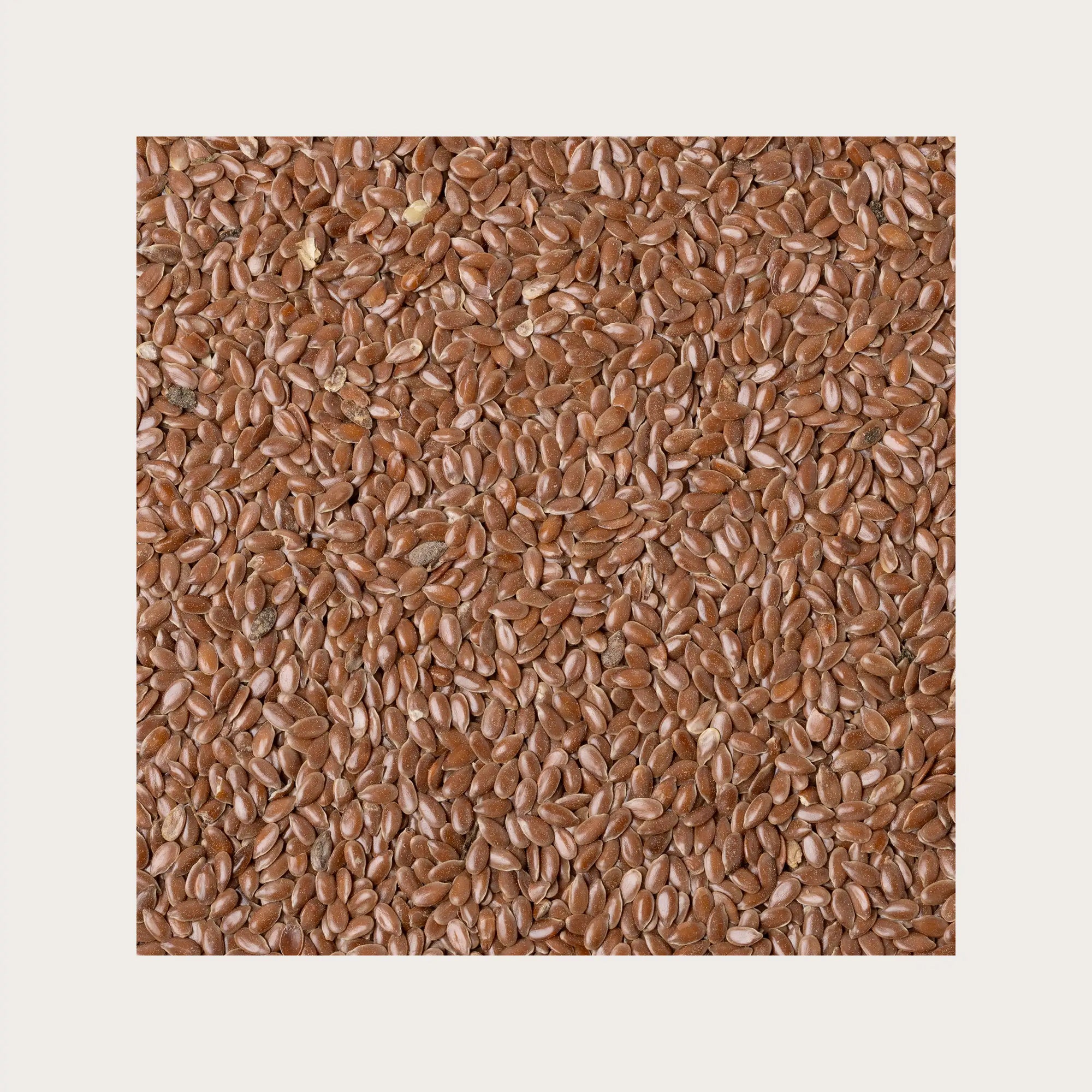 Lino semi sfusi