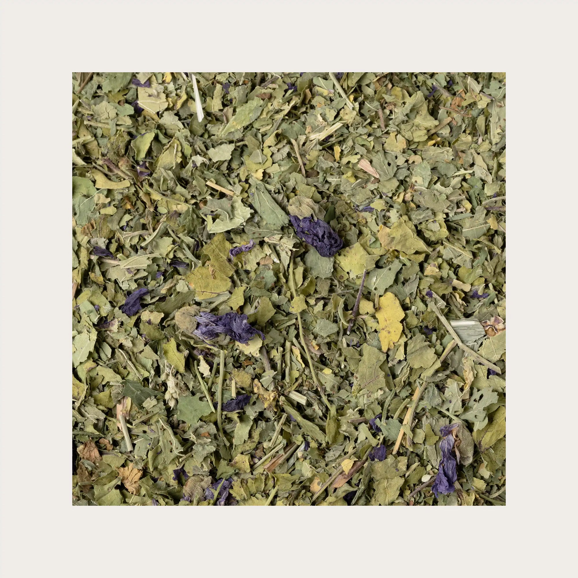 Malva fiori e foglie sfusi