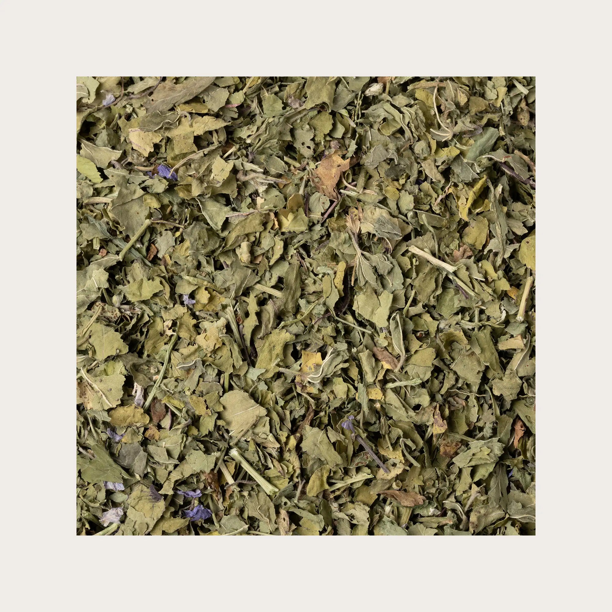 Malva foglie sfuse per tisana