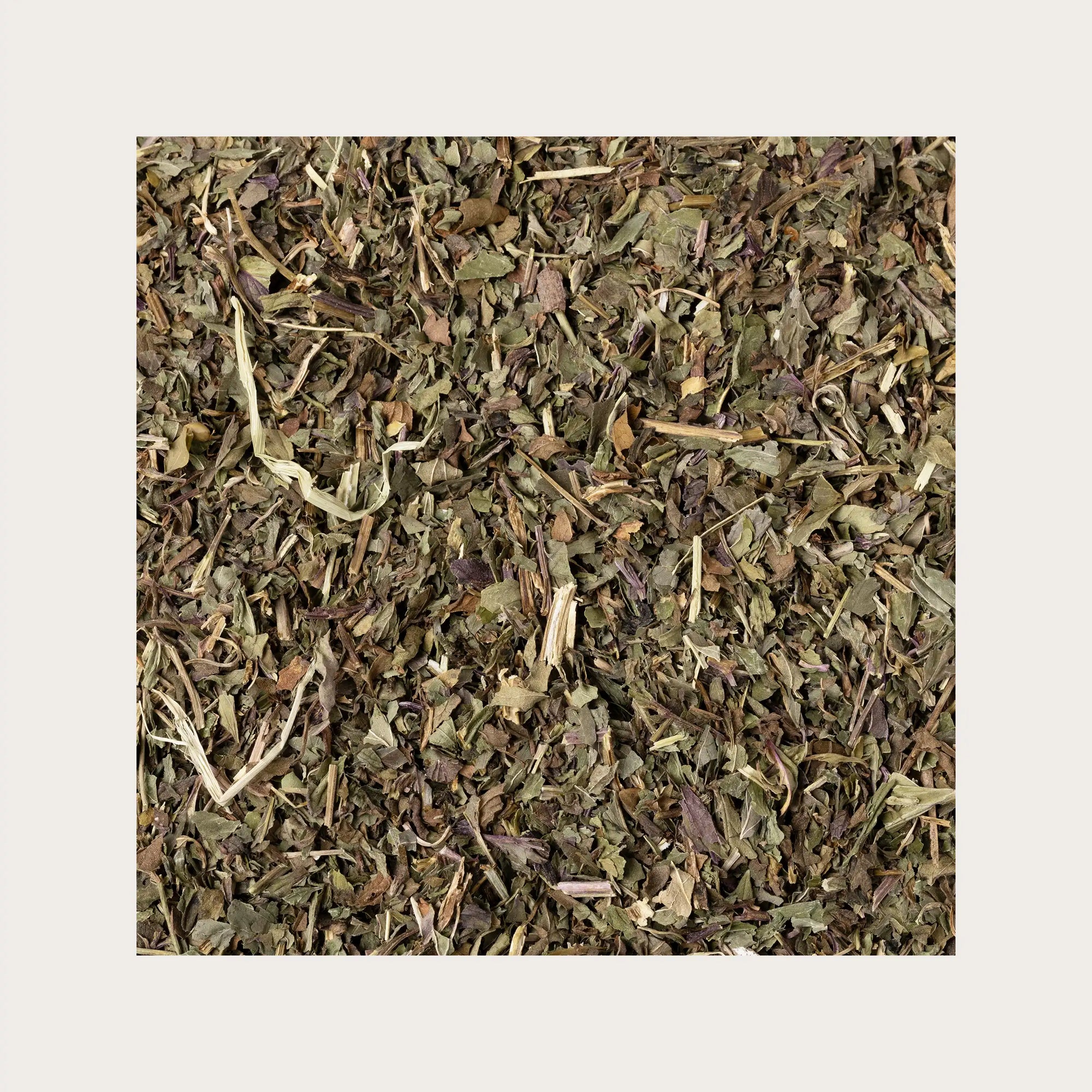 Menta piperita sfusa per tisana