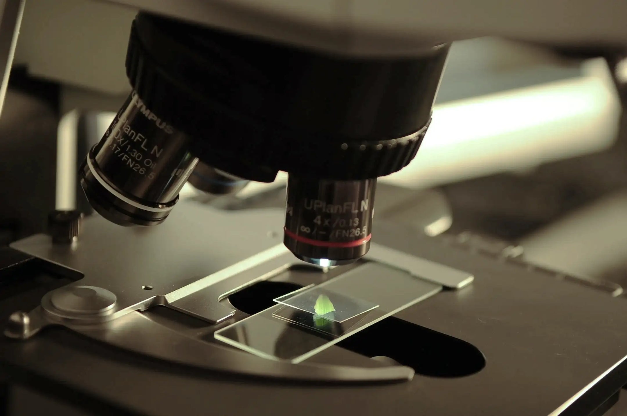 Solimè stabilimenti di produzione - Ricerca e Sviluppo