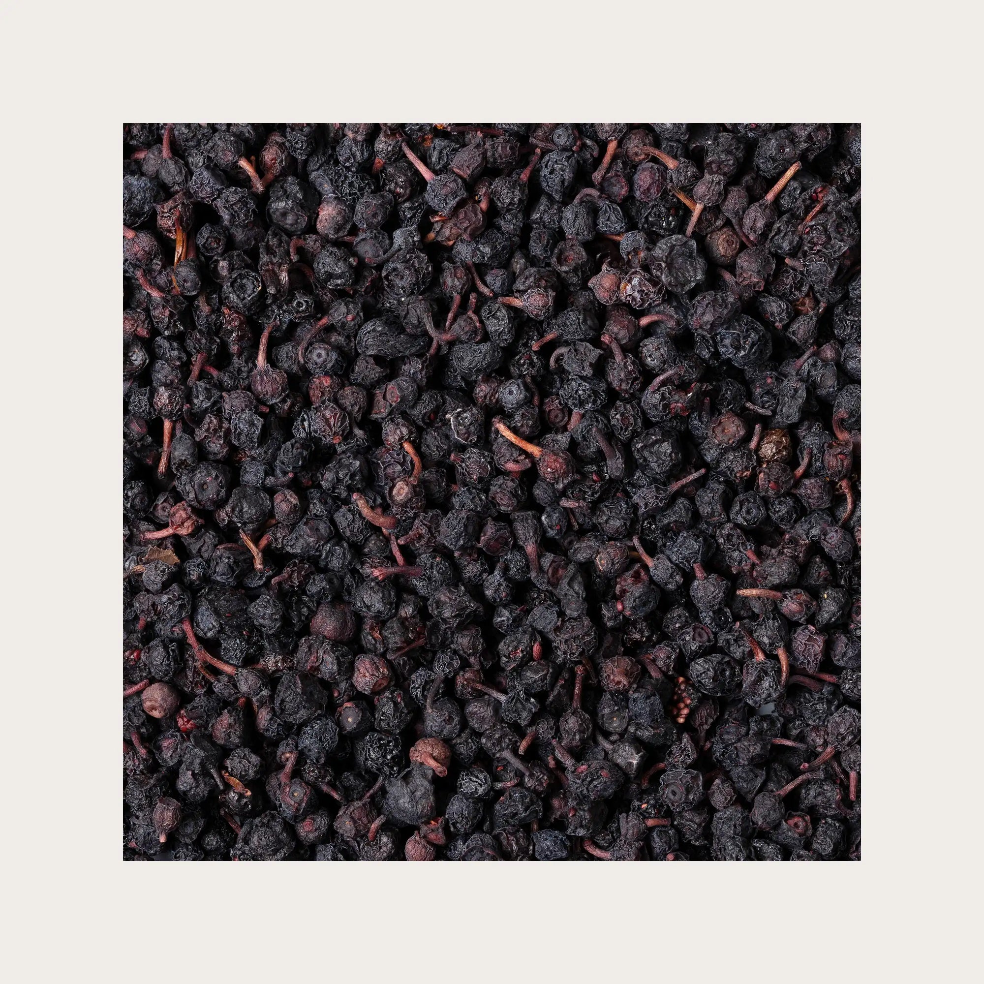 Mirtillo frutti sfusi per tisana