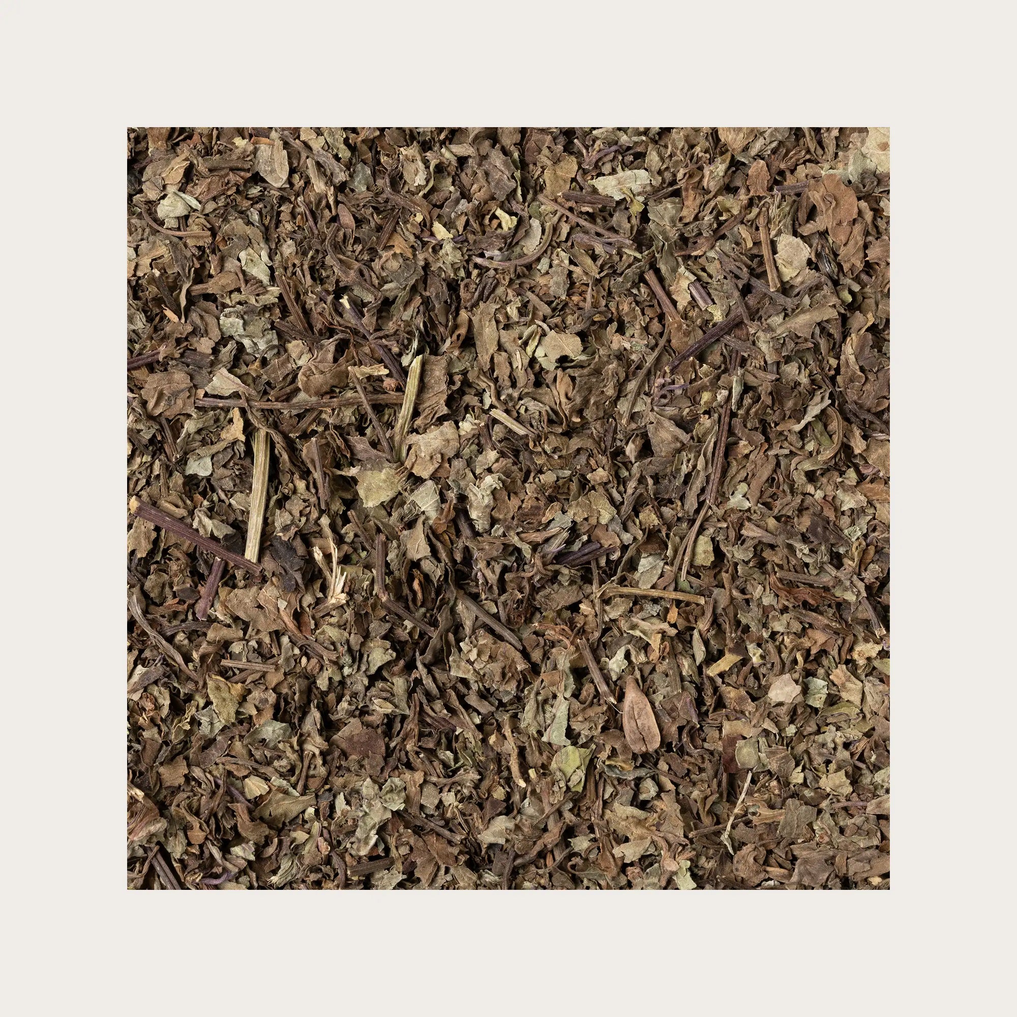 Ortosiphon foglie sfuse per tisana