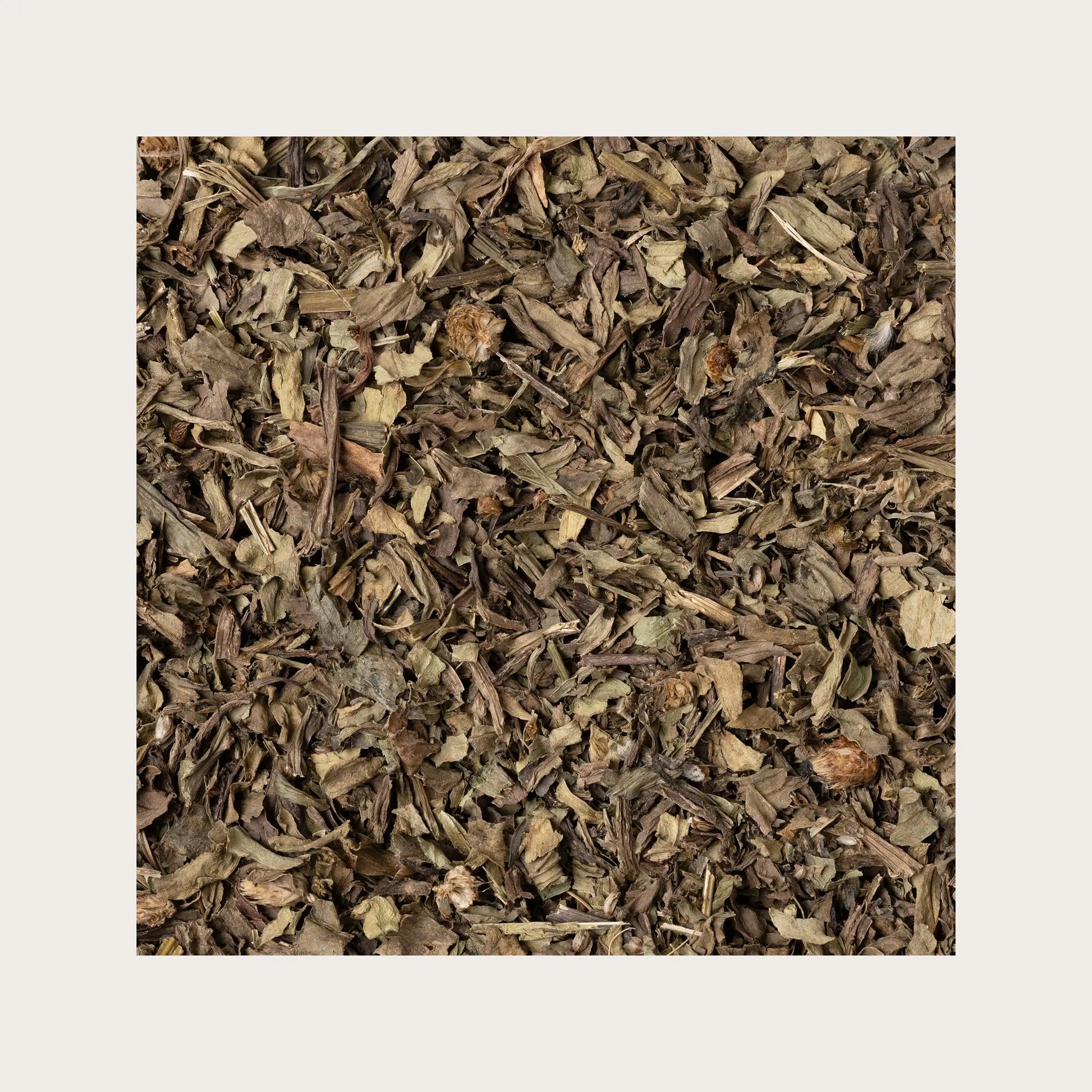 Piantaggine foglie sfuse per tisana